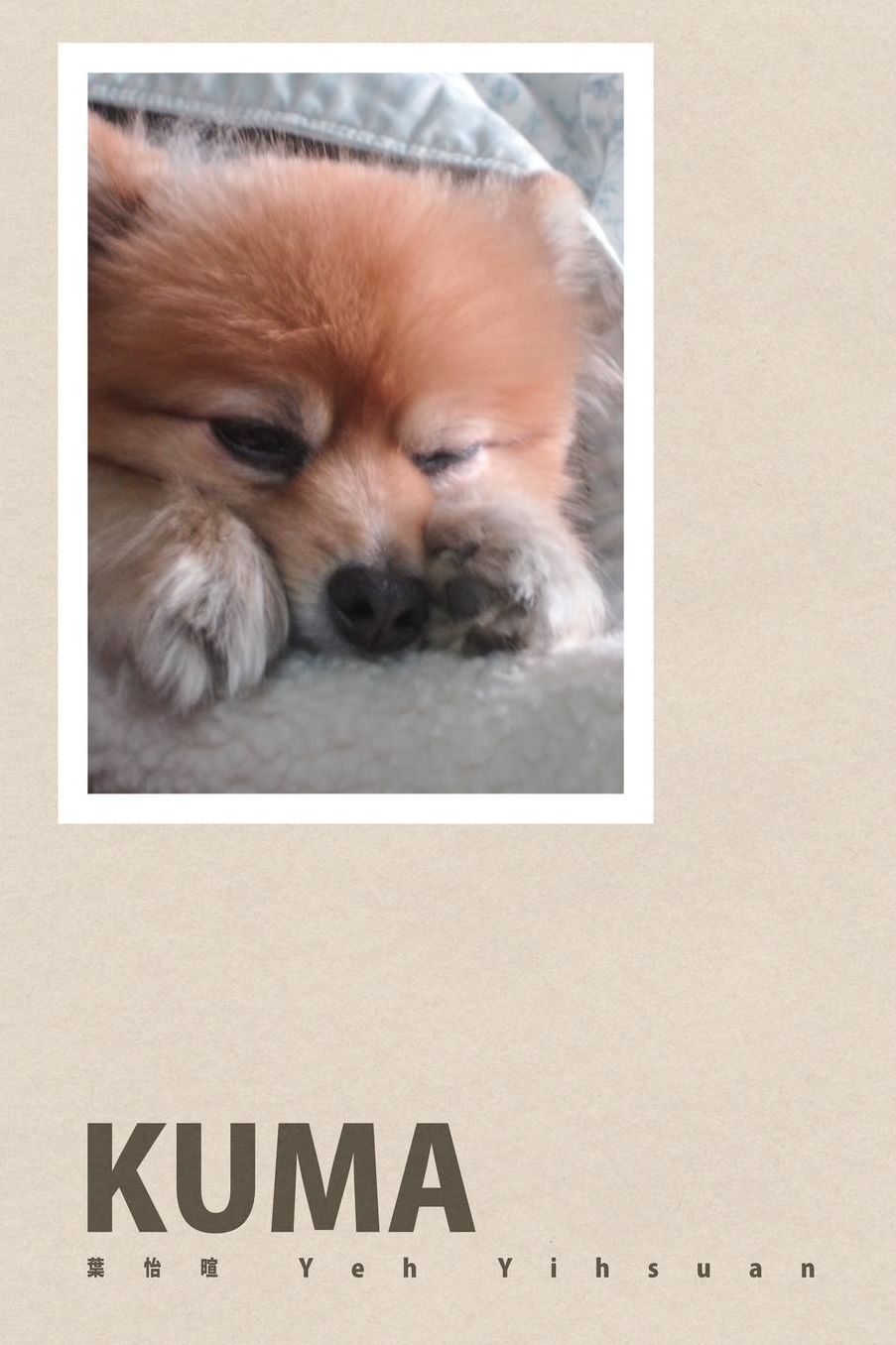 Kuma: mon petit