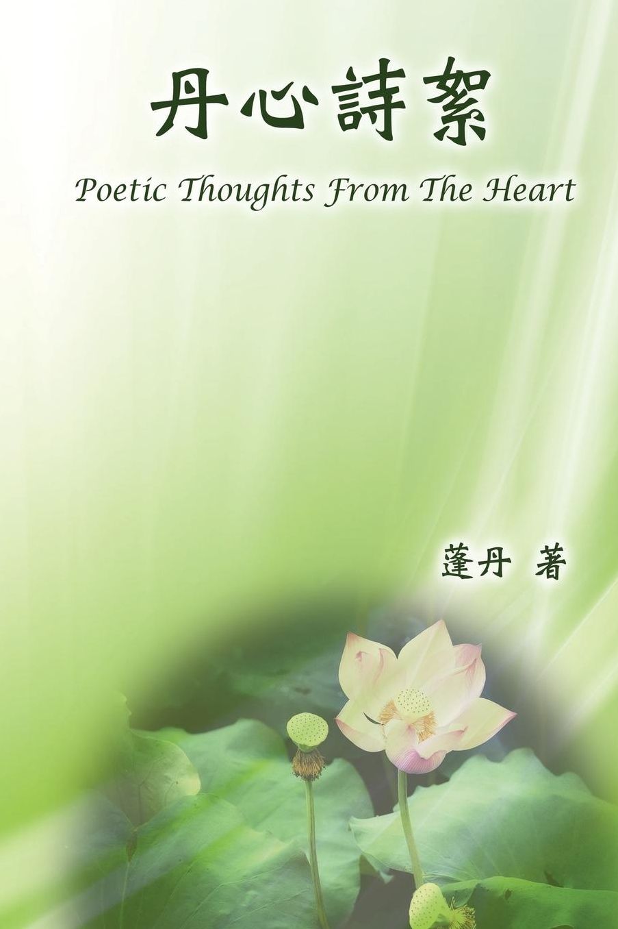 Poetic Thoughts From The Heart