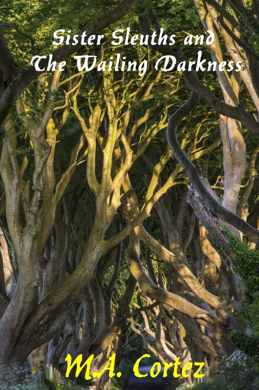 Sister Sleuths and The Wailing Darkness