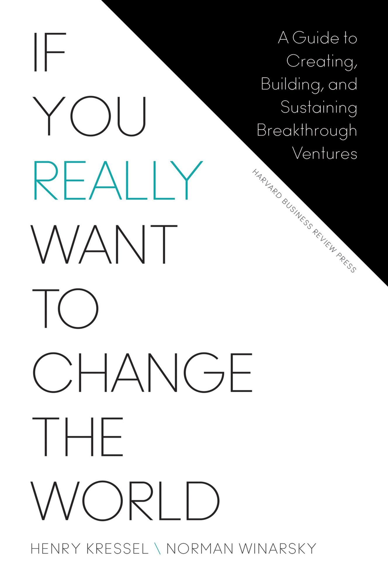 If You Really Want to Change the World : A Guide to Creating, Building, and Sustaining Breakthrough Ventures