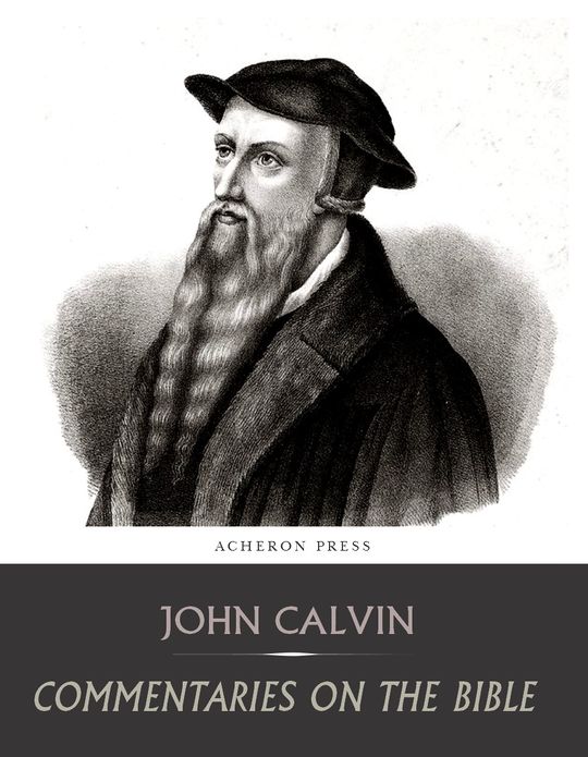 Commentaries on the Bible