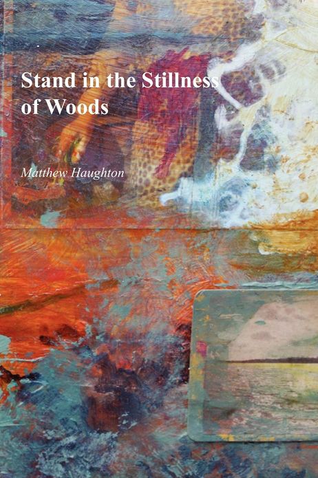 Stand in the Stillness of Woods