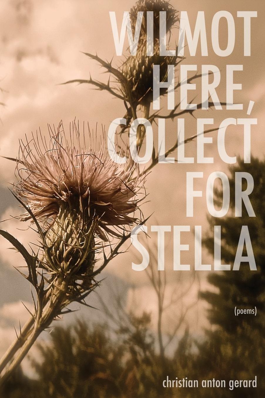 Wilmot Here, Collect for Stella