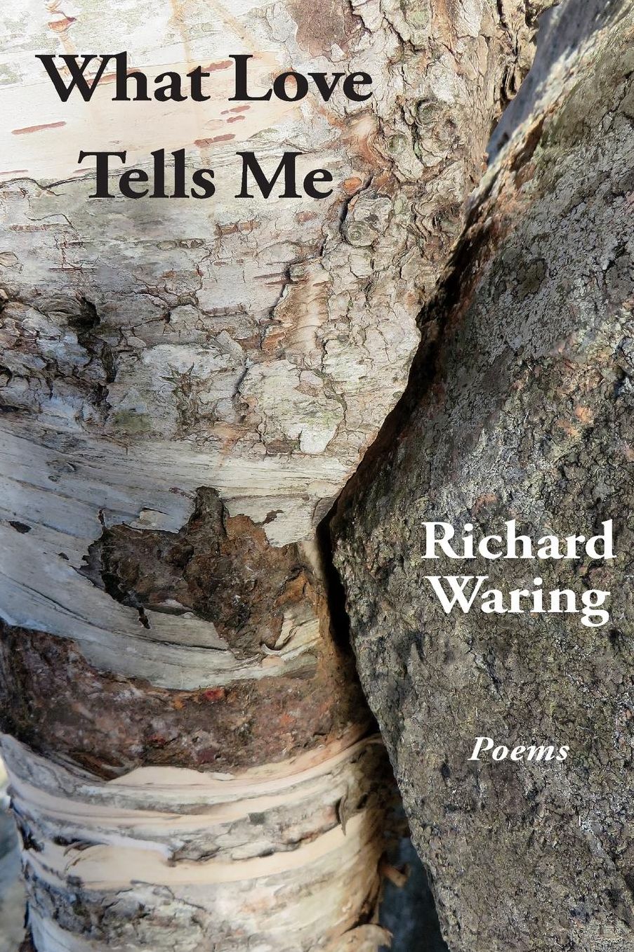 What Love Tells Me