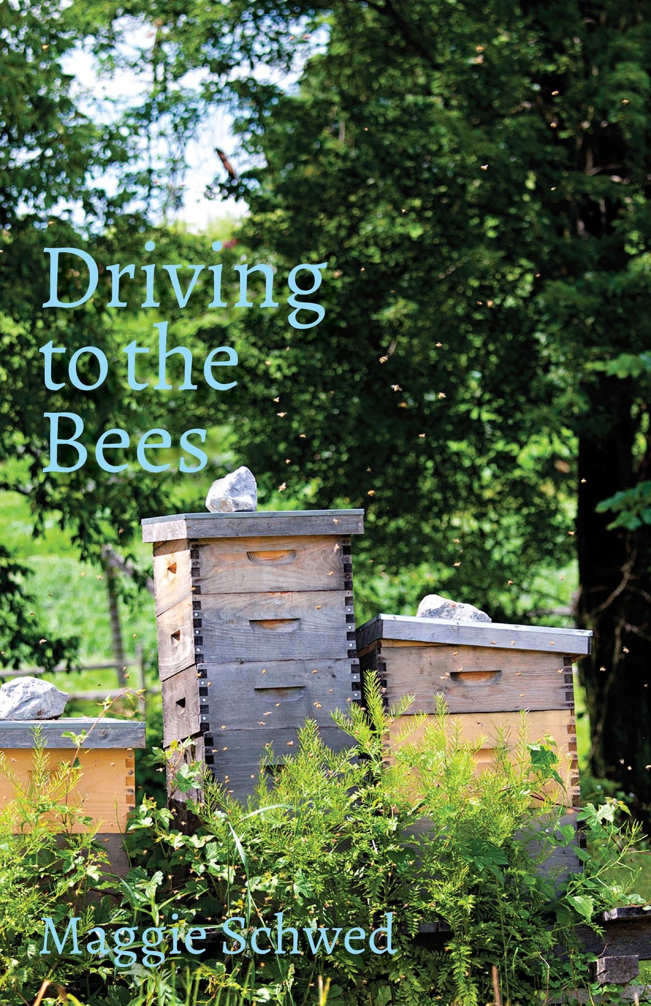 Driving to the Bees