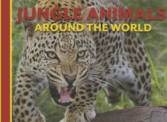 Jungle Animals Around the World