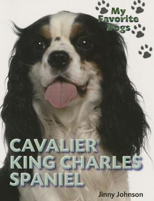 Cavalier King Charles Spaniel