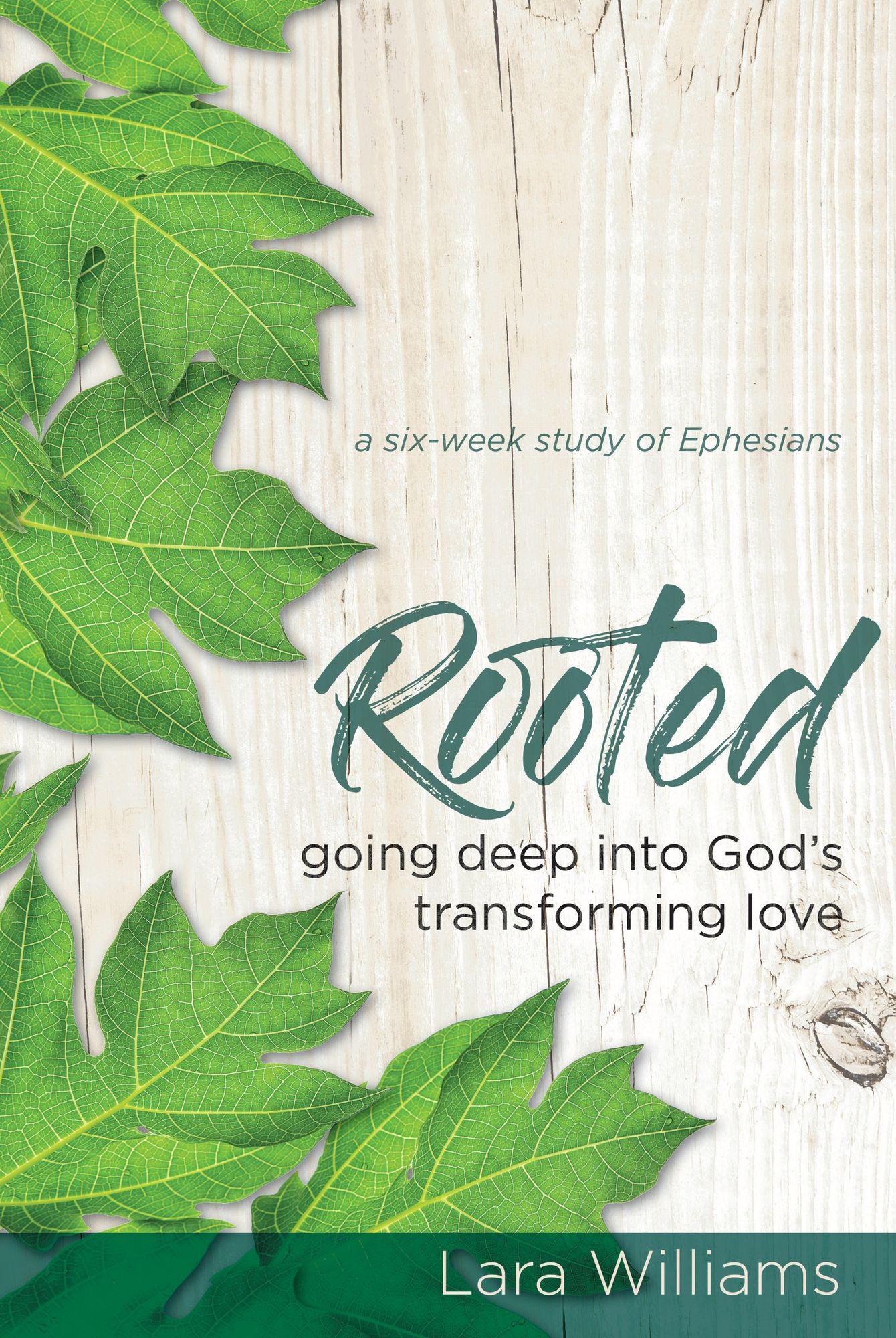 Rooted: Going Deep into God's Transforming Love