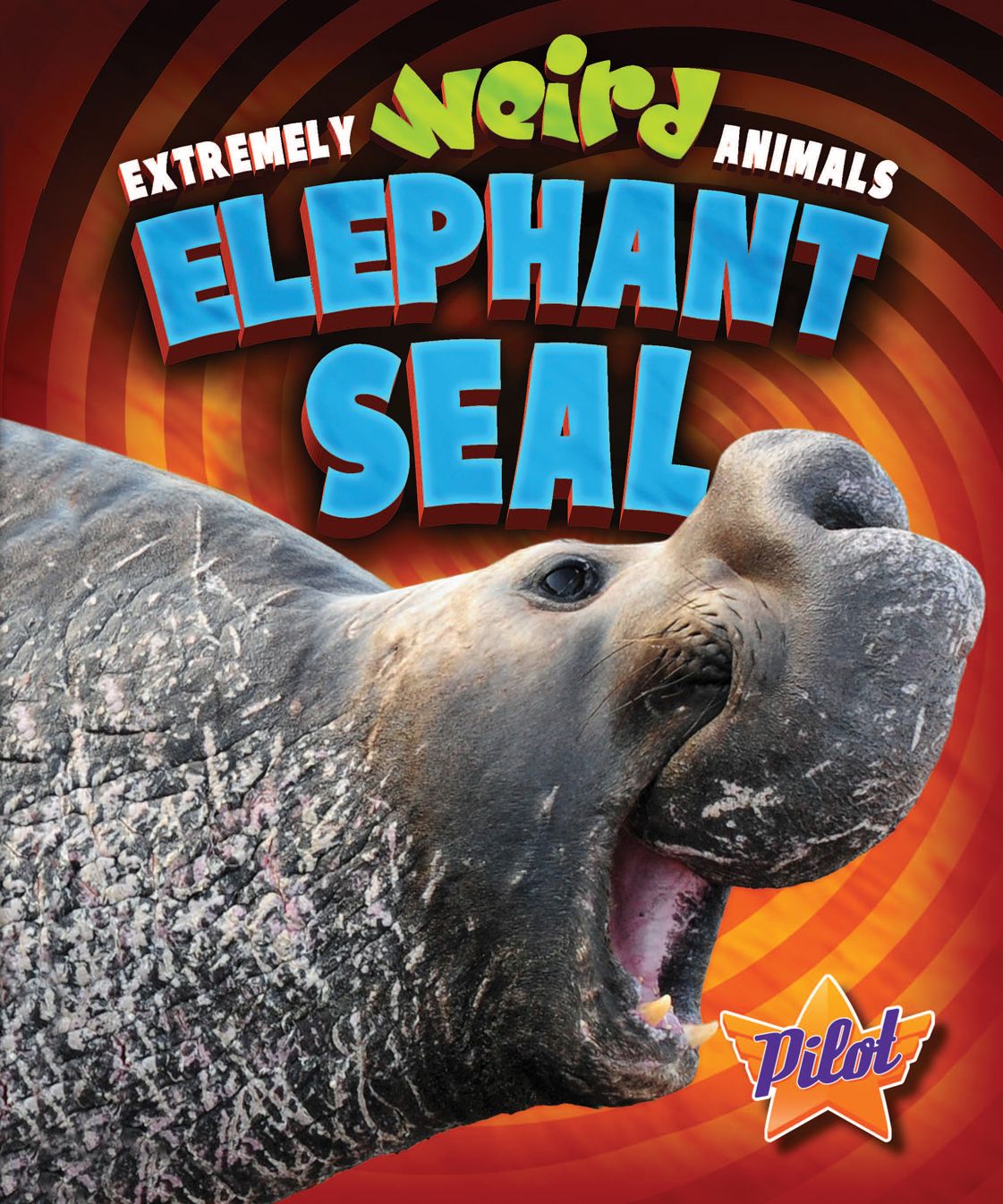 Elephant Seal