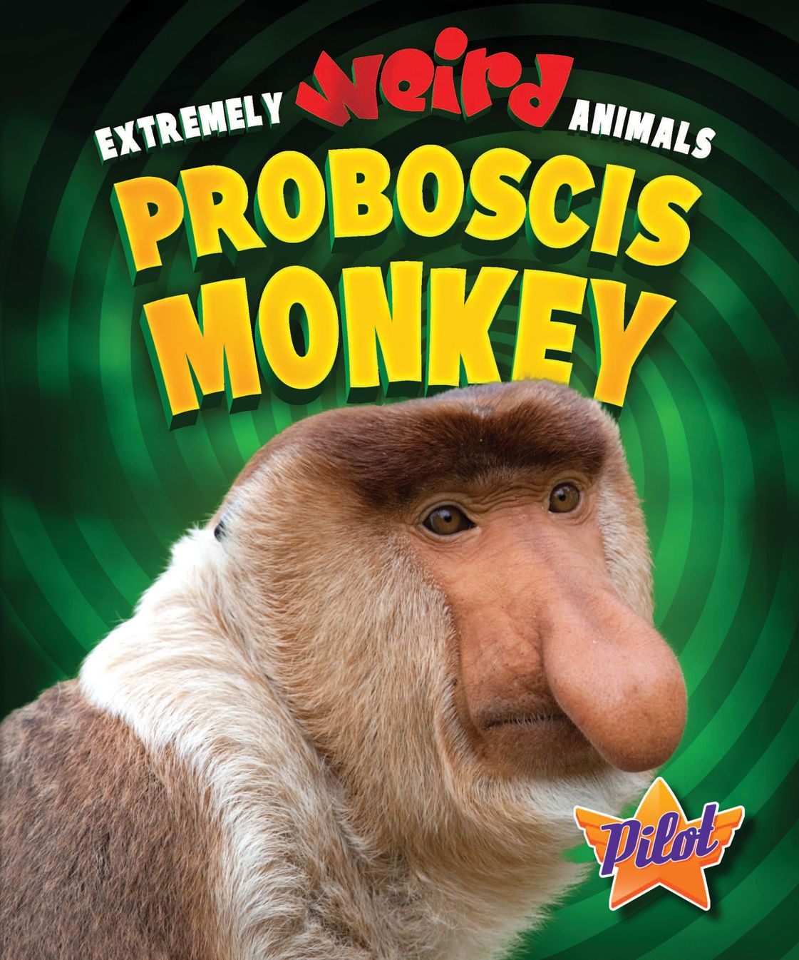 Proboscis Monkey