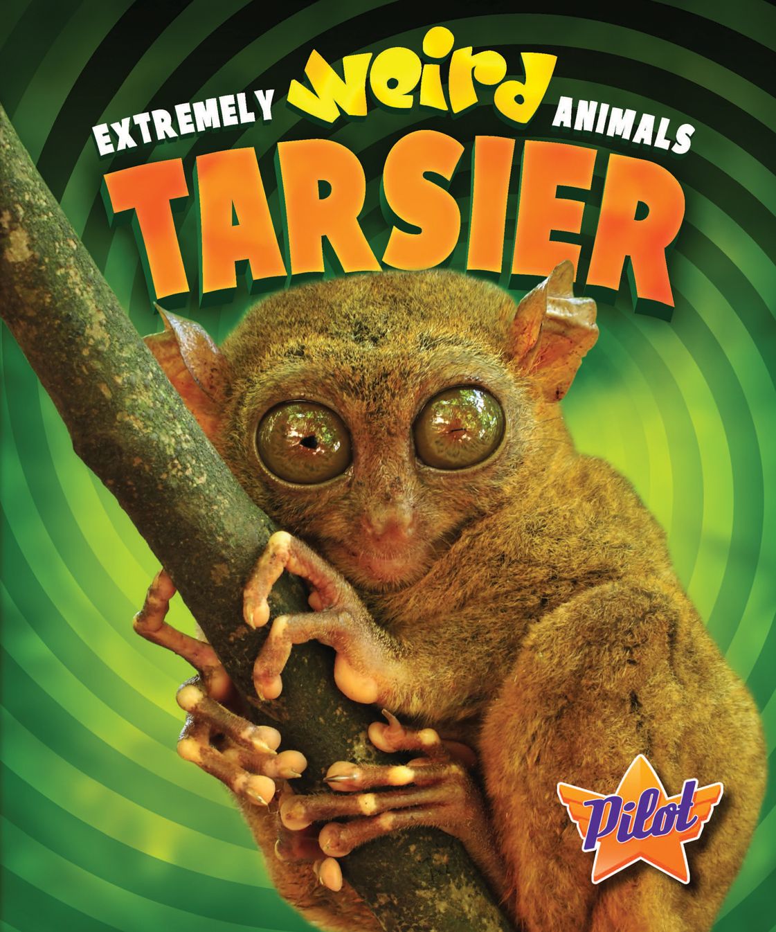 Tarsier