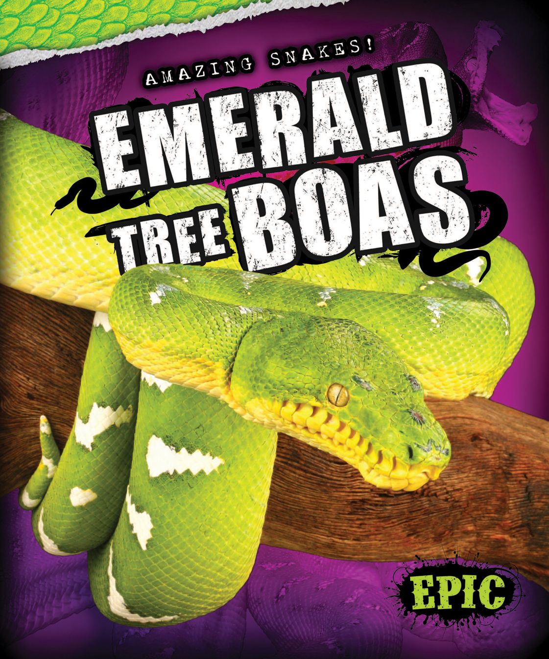 Emerald Tree Boas