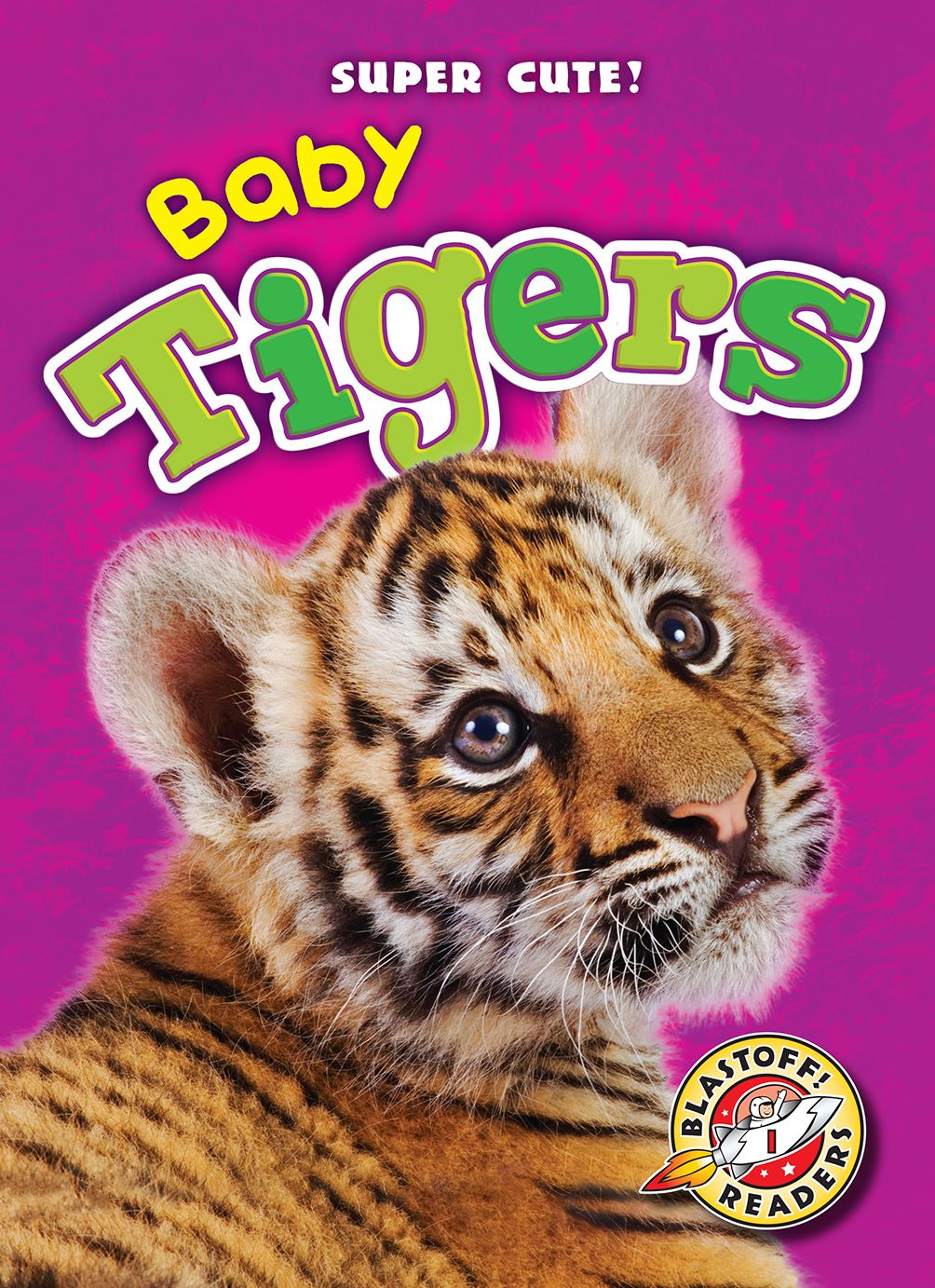 Baby Tigers
