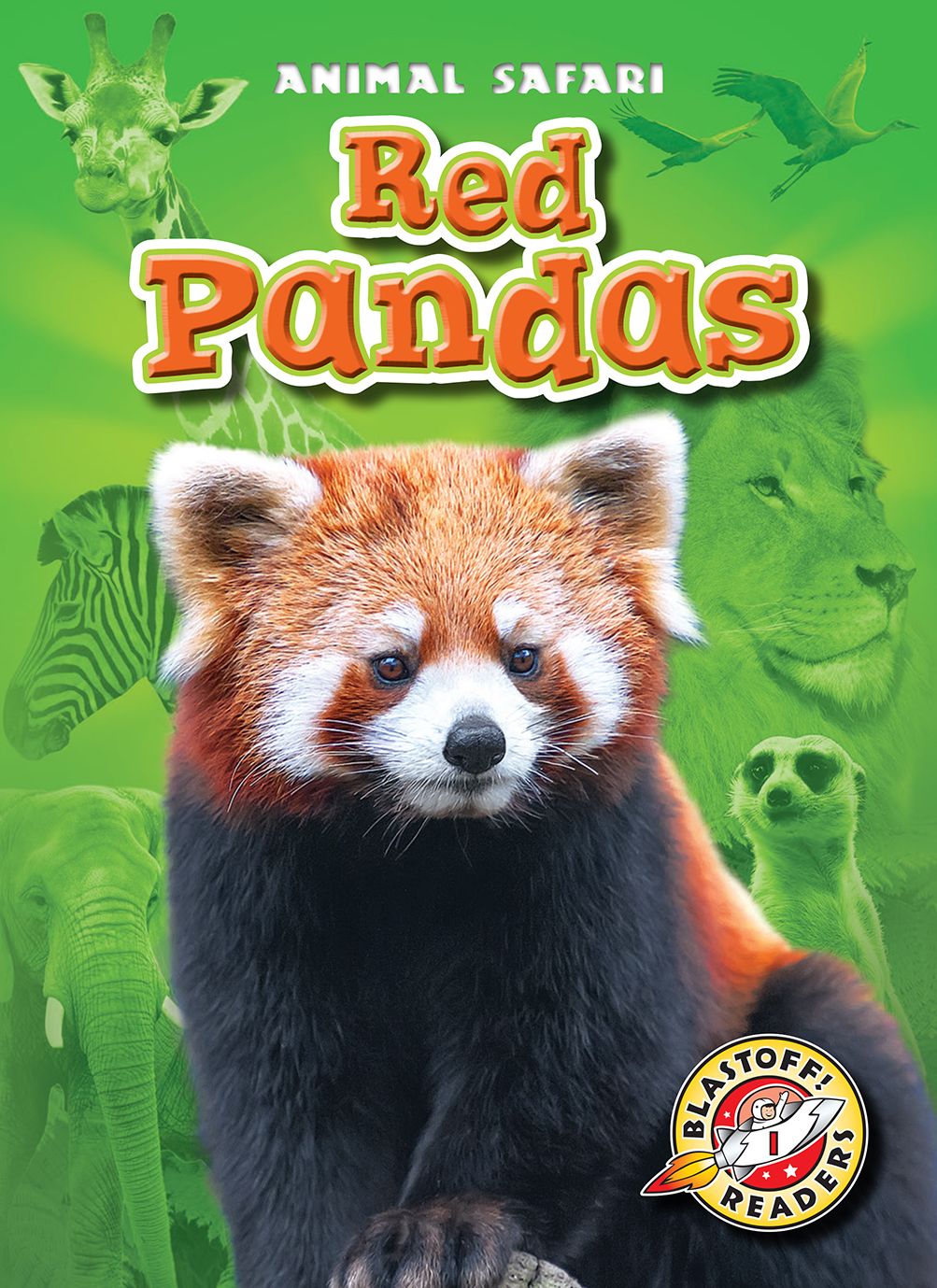 Red Pandas