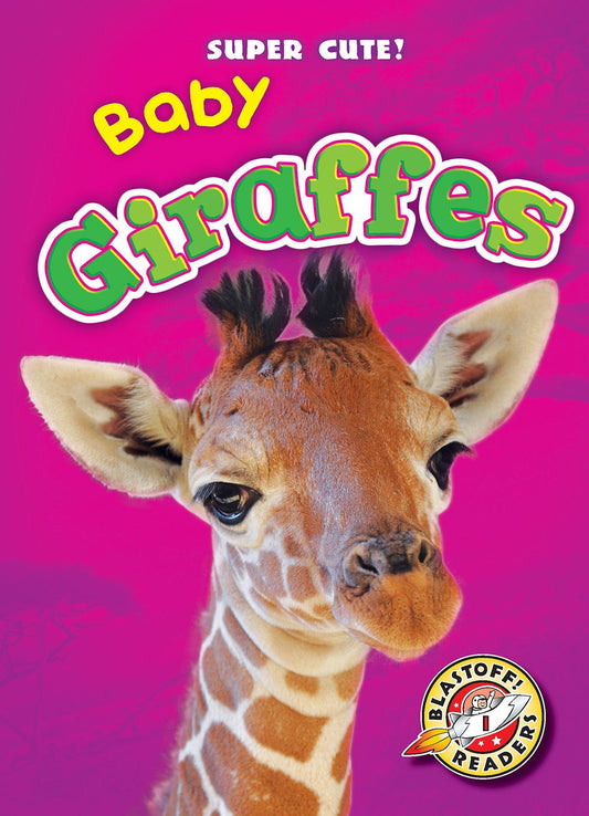 Baby Giraffes