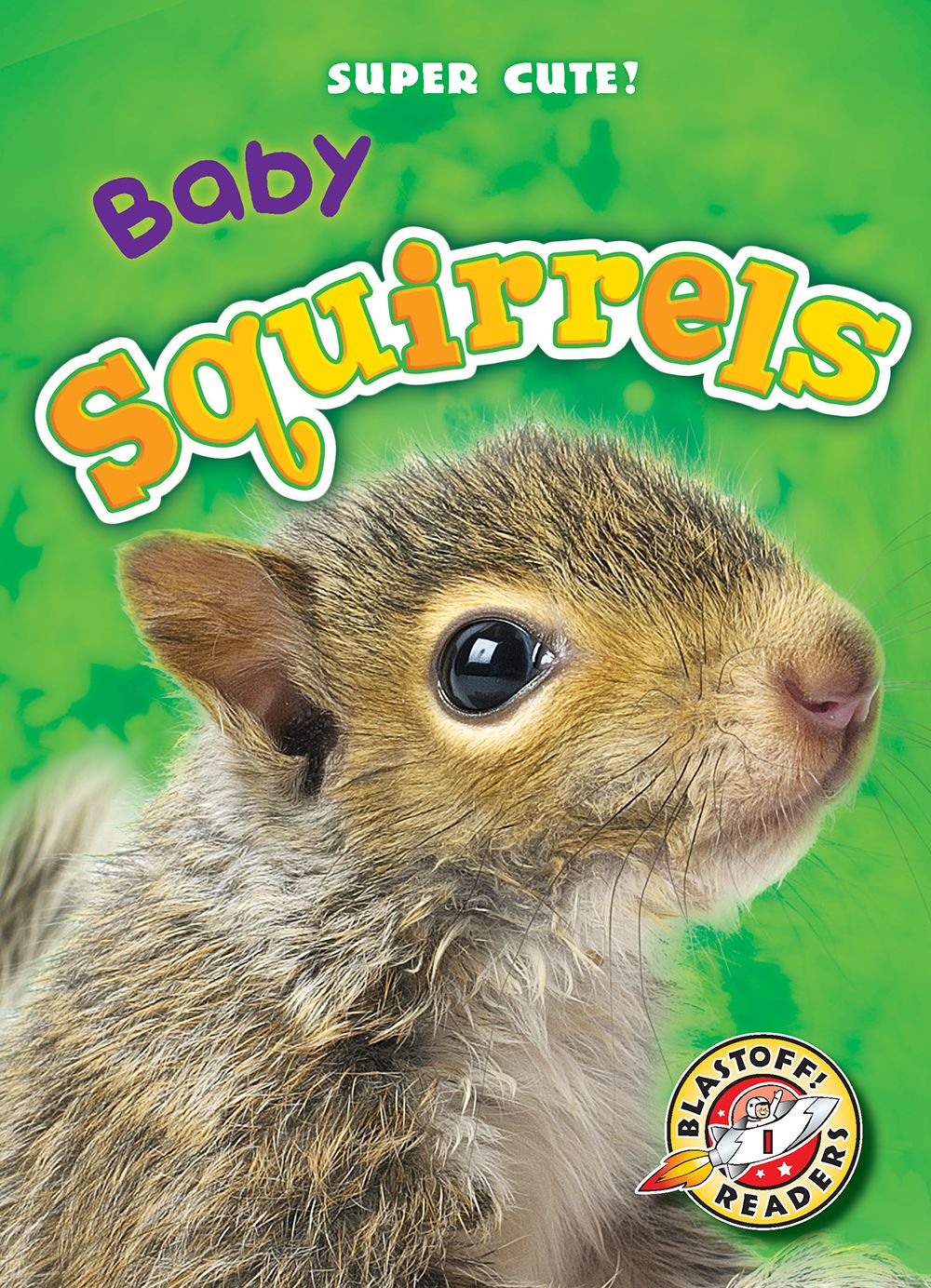 Baby Squirrels