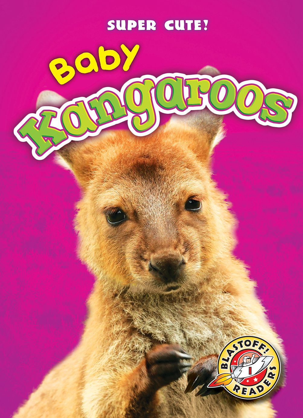 Baby Kangaroos