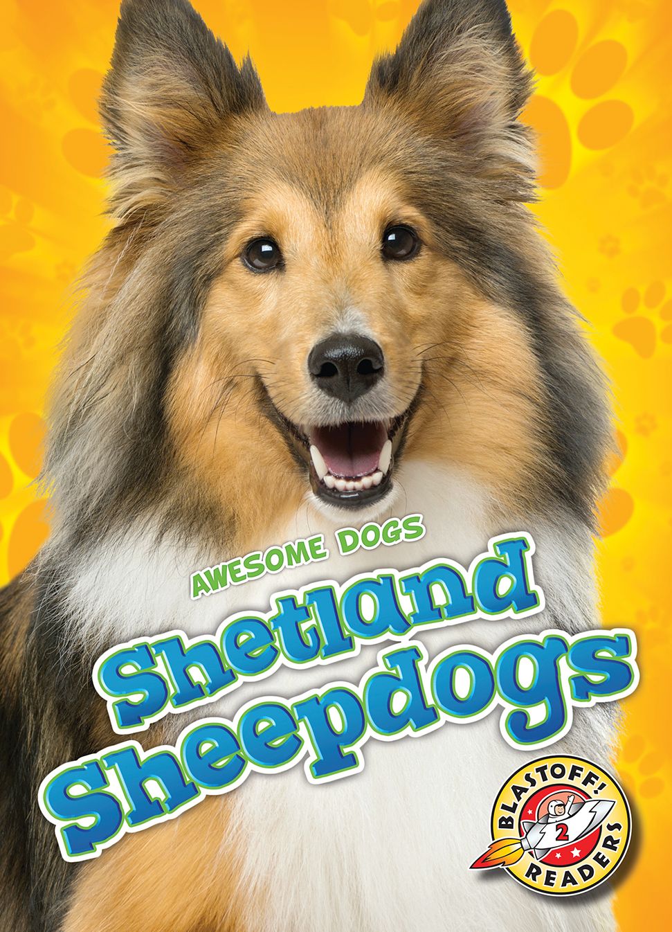 Shetland Sheepdogs