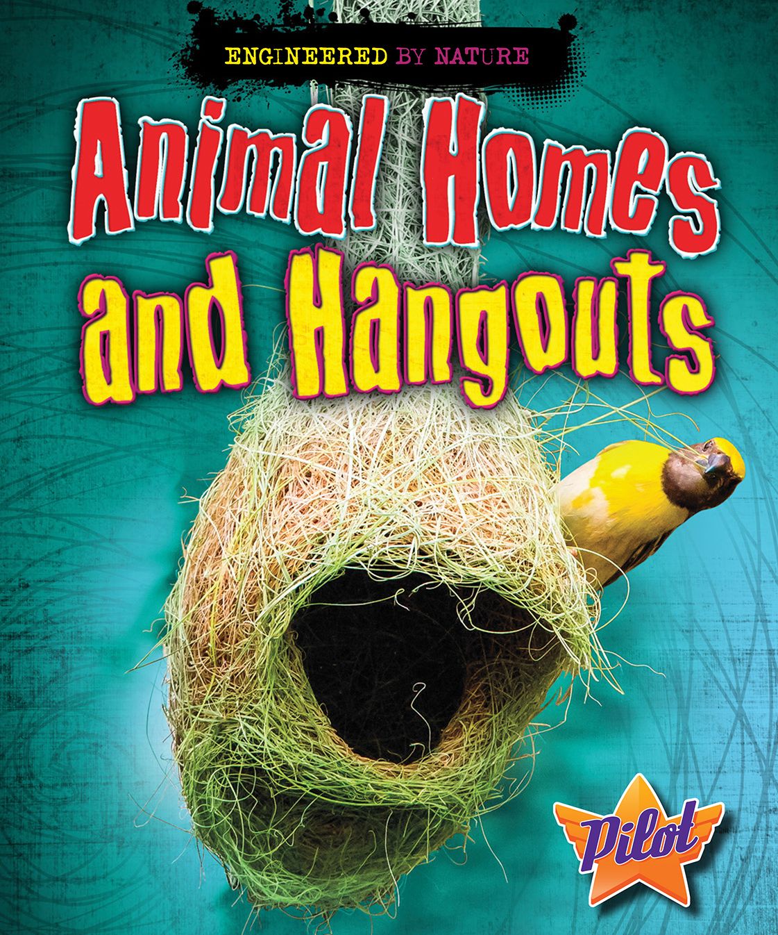 Animal Homes and Hangouts