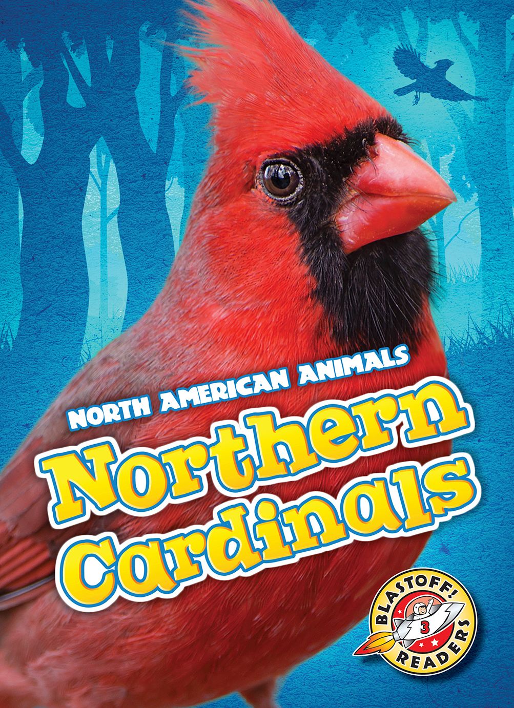 Northern Cardinals