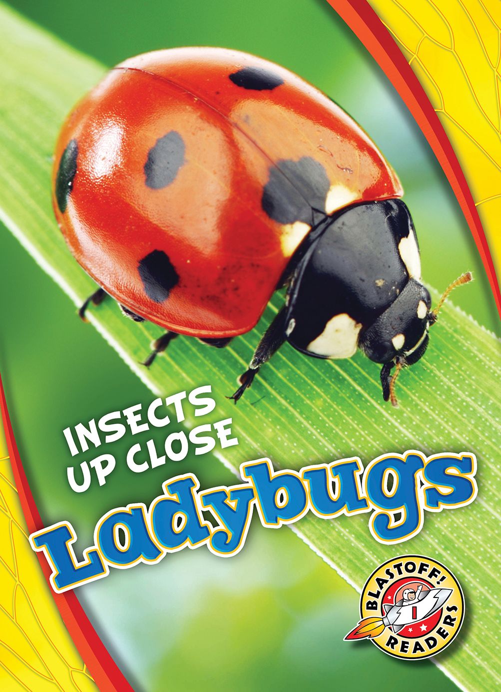 Ladybugs
