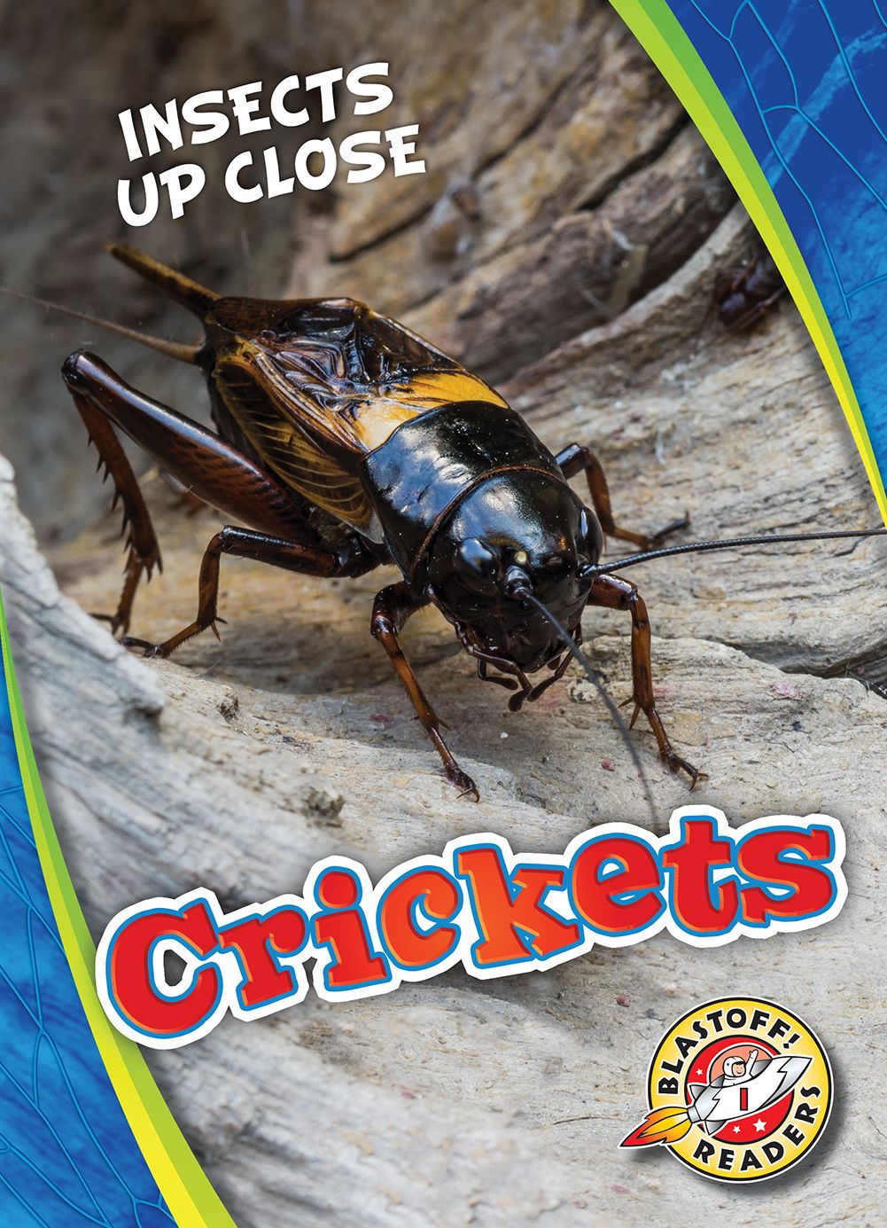 Crickets