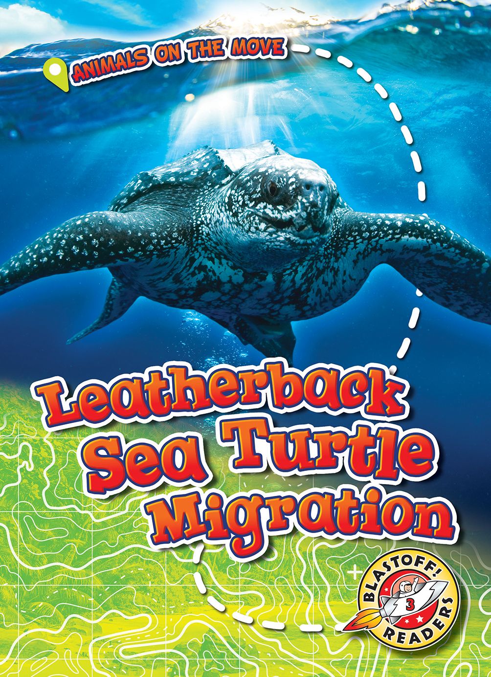 Leatherback Sea Turtle Migration