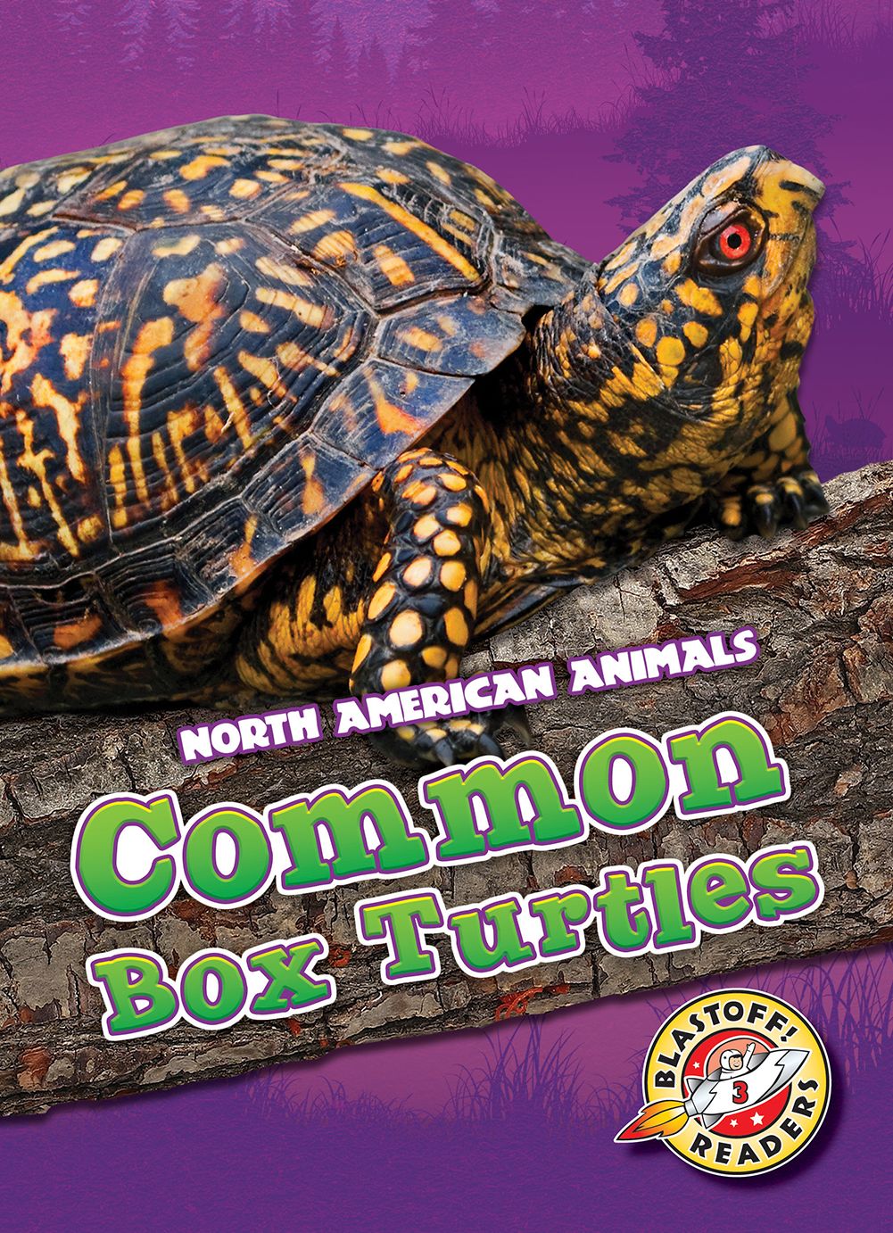 Common Box Turtles