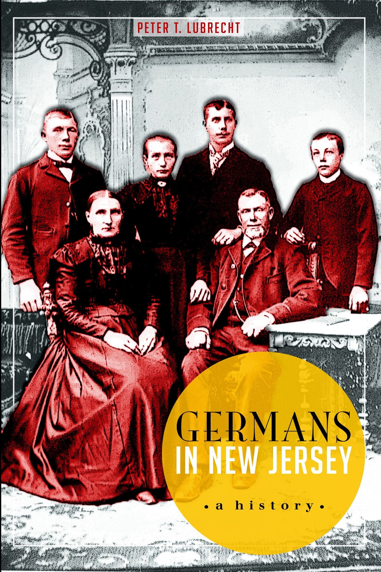Germans in New Jersey: A History