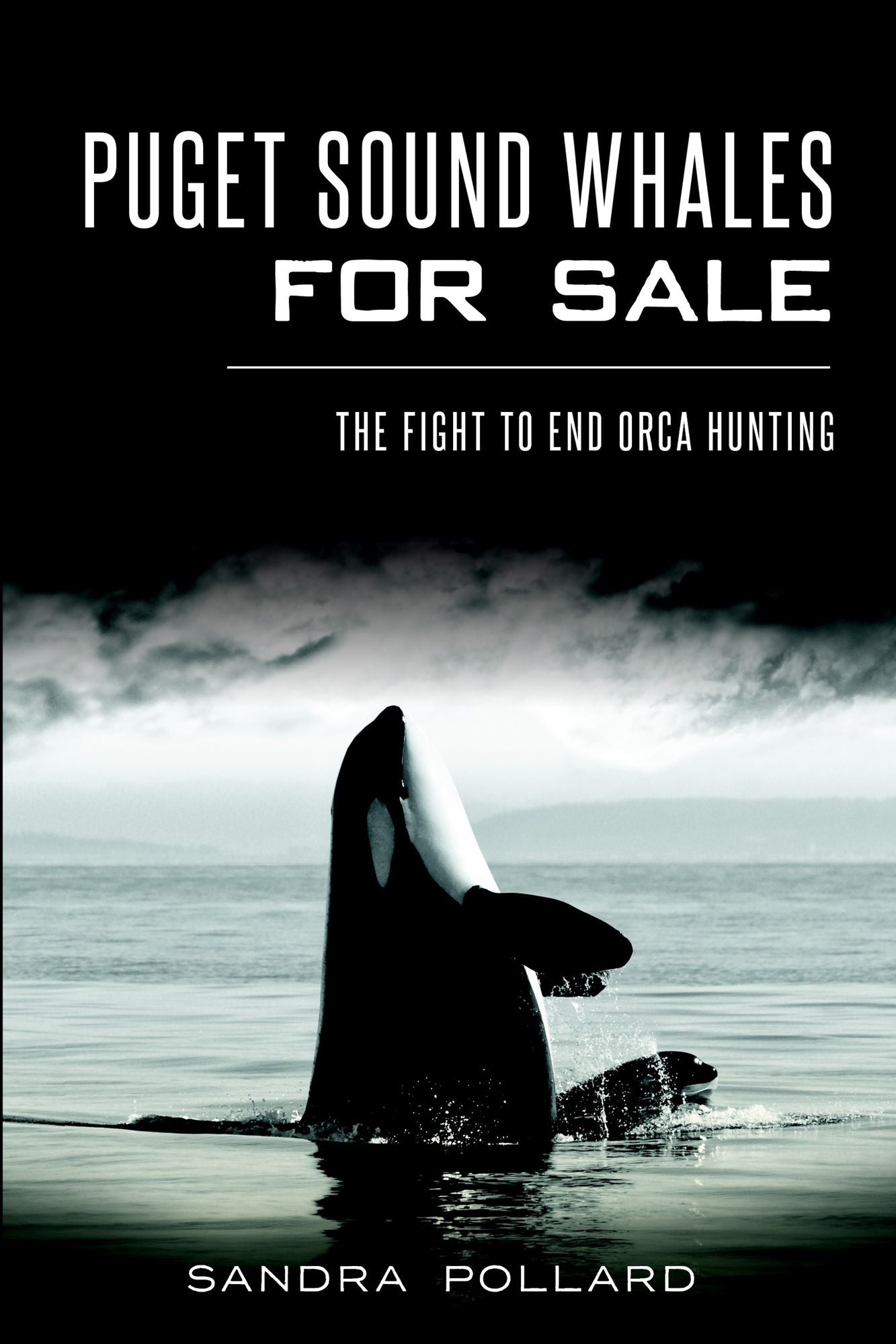 Puget Sound Whales for Sale: The Fight to End Orca Hunting