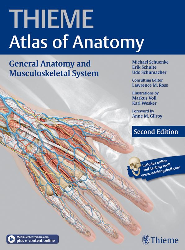 General Anatomy and Musculoskeletal System (THIEME Atlas of Anatomy), Second Edition