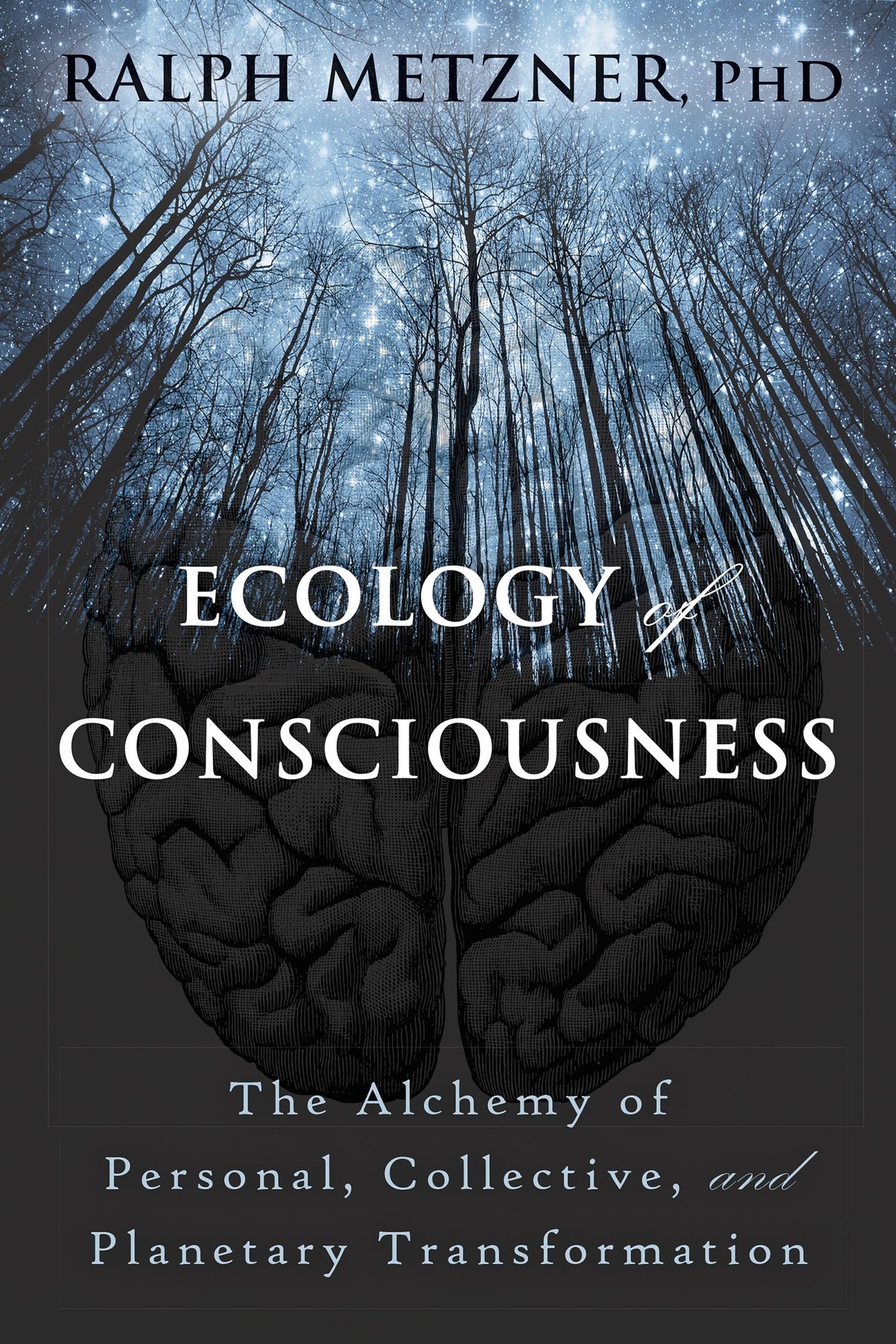 Ecology of Consciousness: The Alchemy of Personal, Collective, and Planetary Transformation