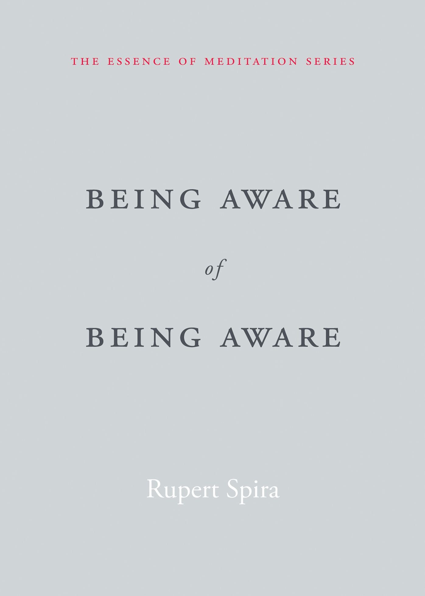 Being Aware of Being Aware