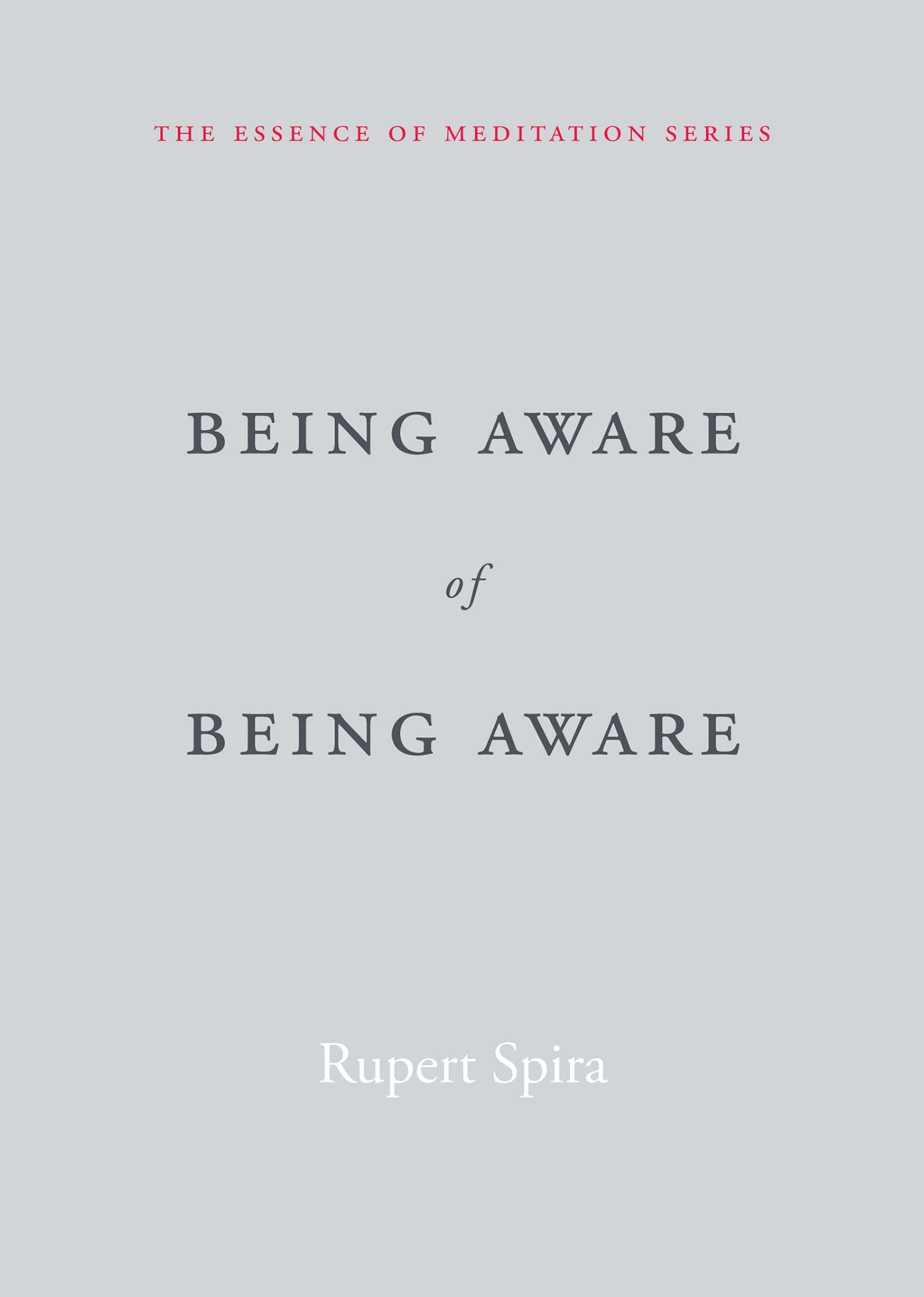 Being Aware of Being Aware