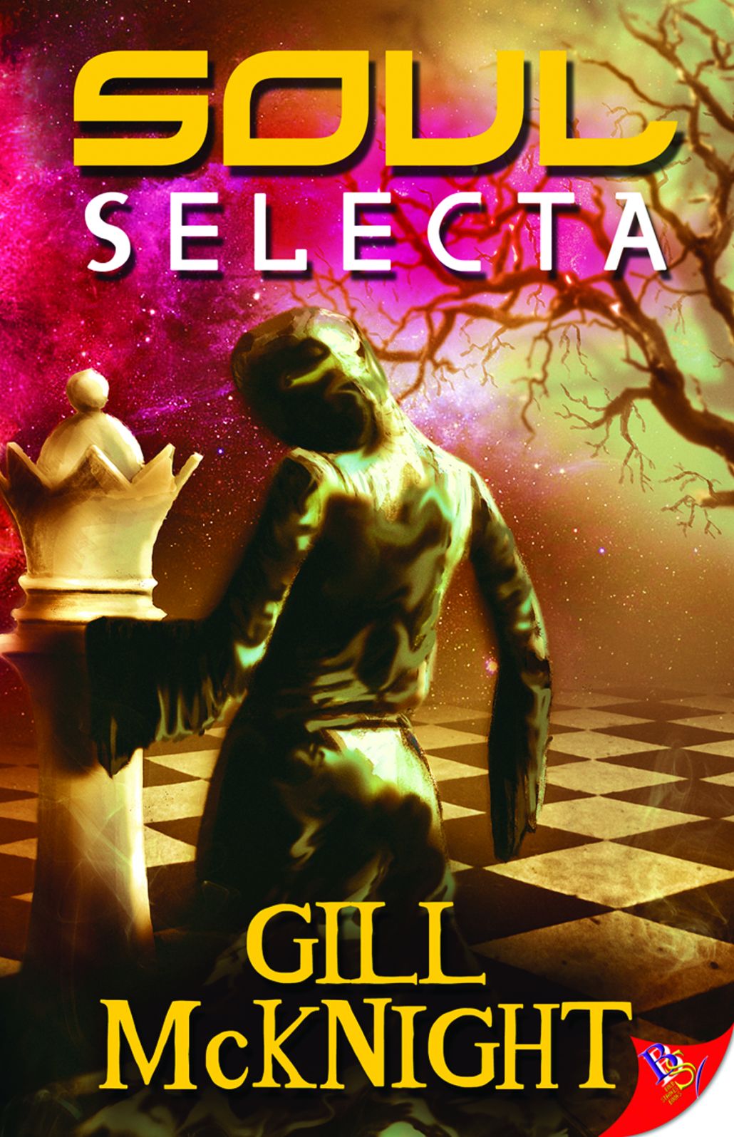 Soul Selecta