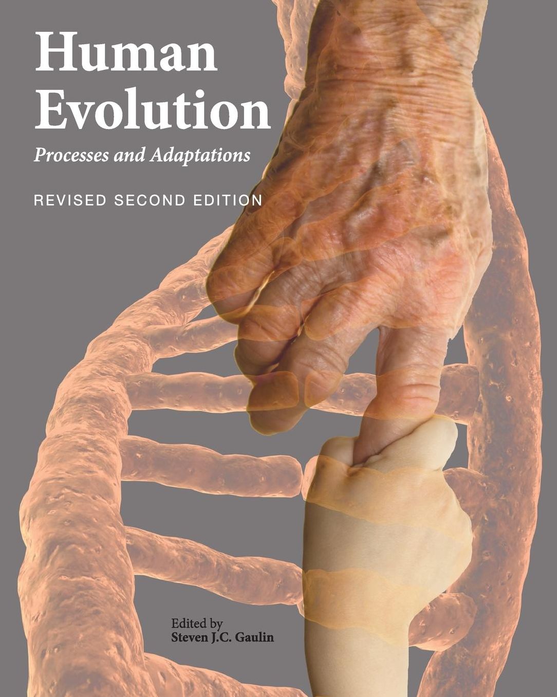 Human Evolution: Processes and Adaptations (Revised Second Edition)