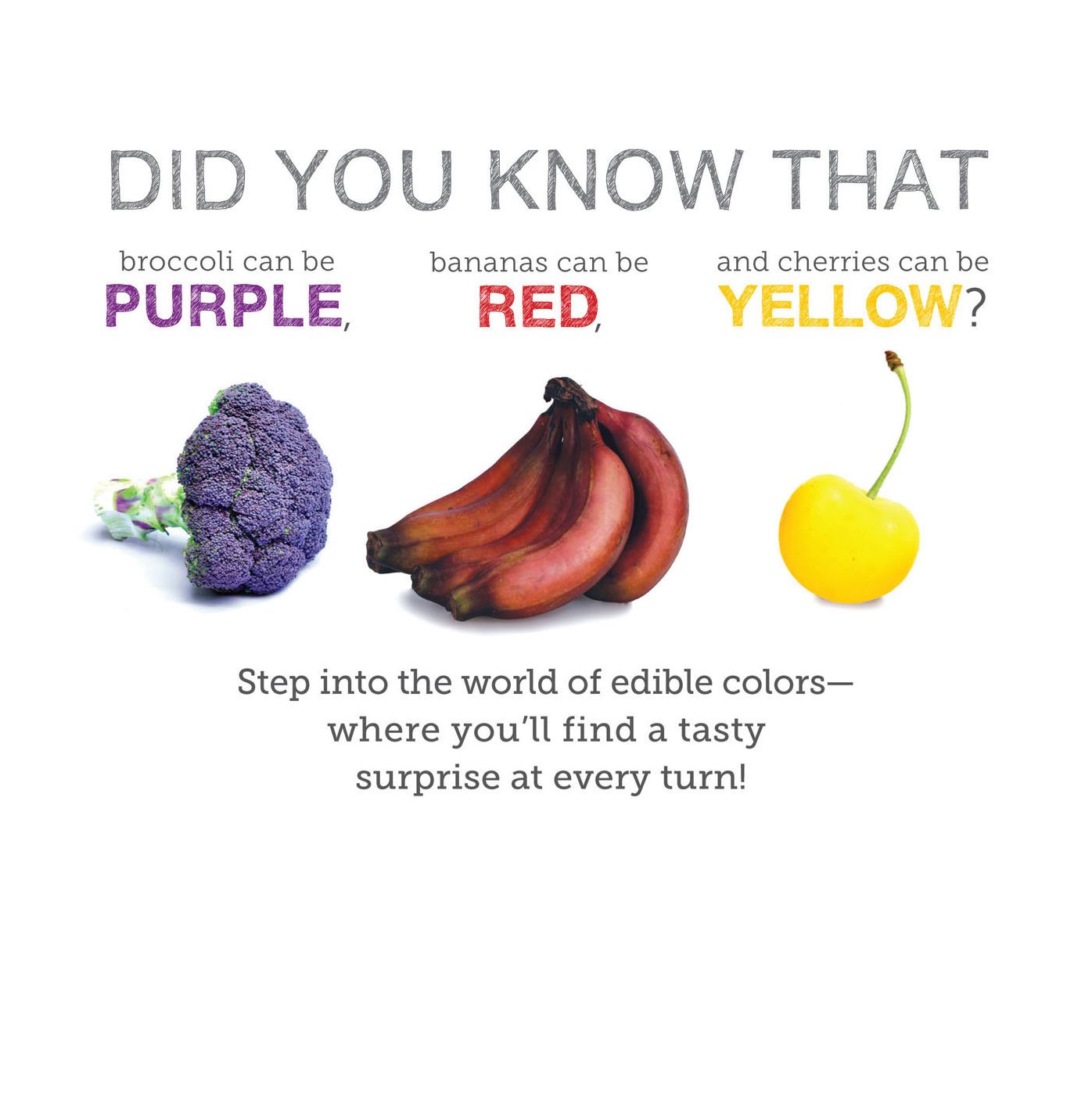 Edible Colors: See, Learn, Eat