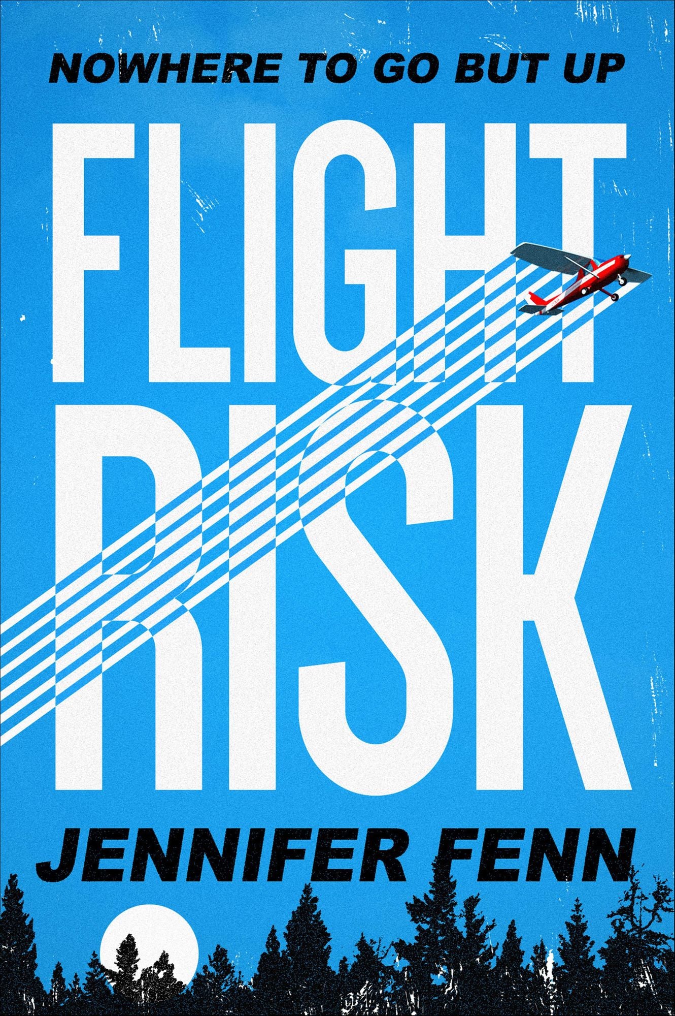 Flight Risk: A Novel