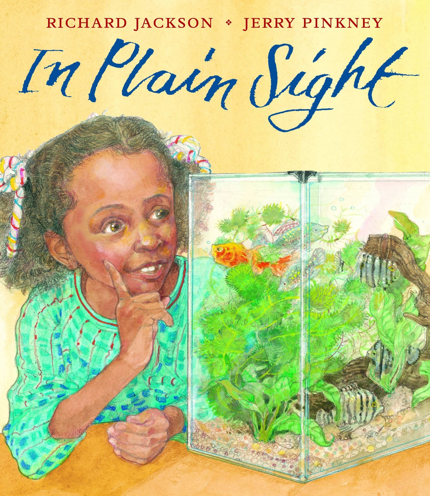 In Plain Sight: A Game