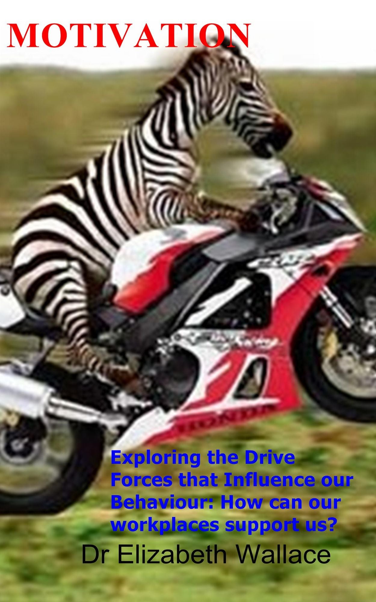 Motivation, Exploring the Drive Forces that Influence Our Behaviour: How Can Our Work Places Support Us?