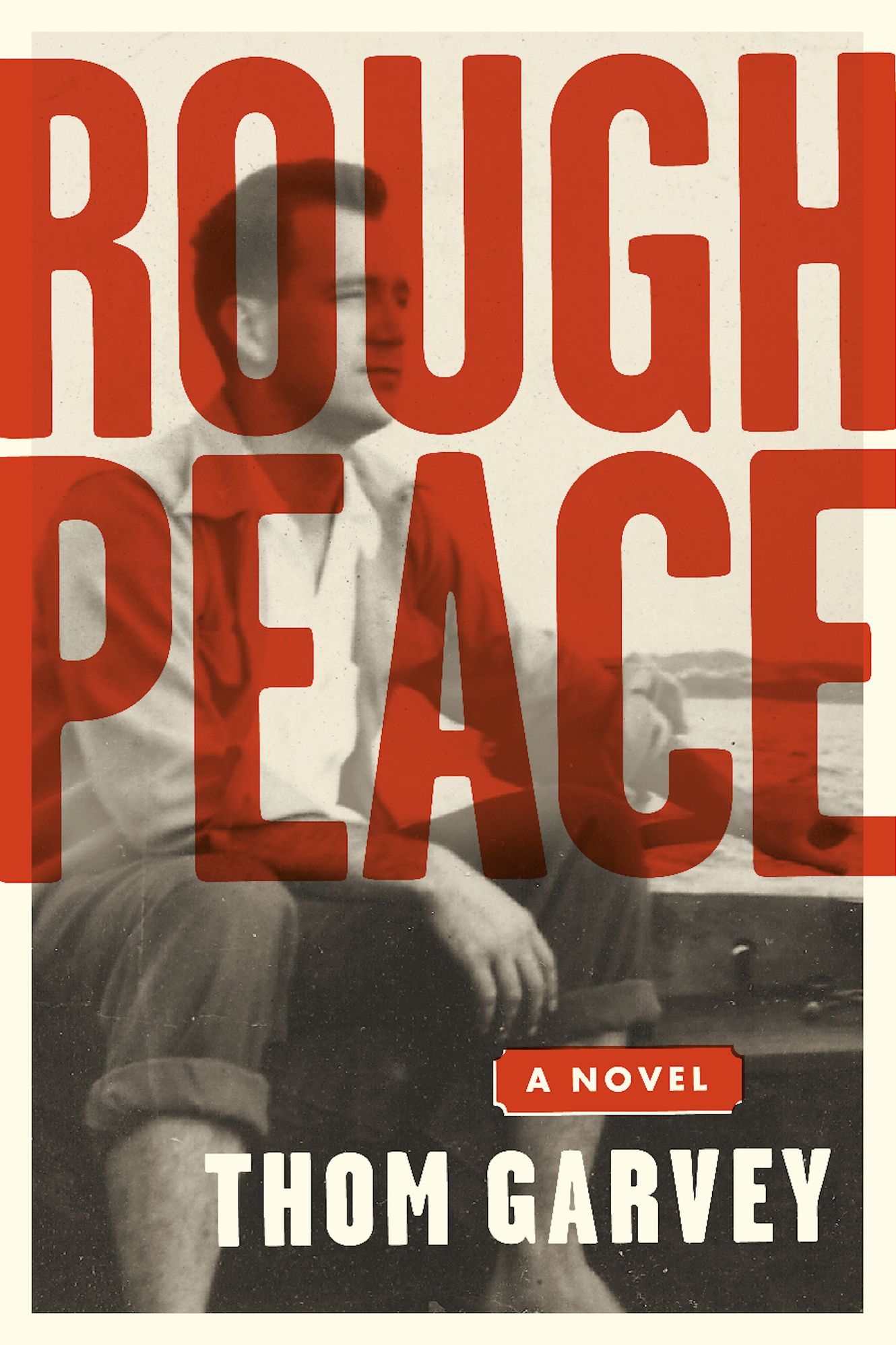 Rough Peace: A Novel