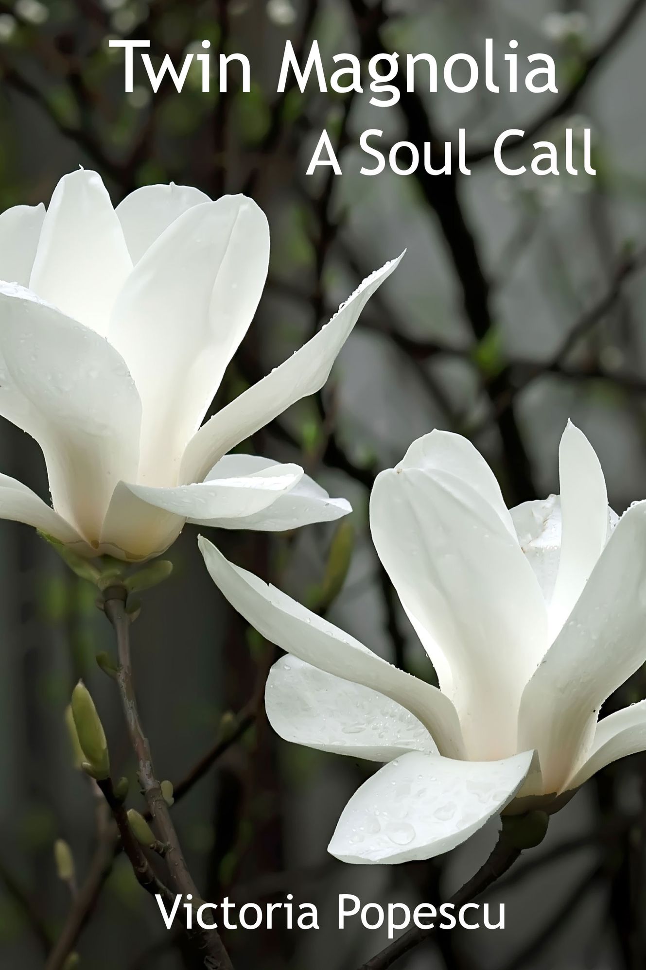 Twin Magnolia: A Soul Call