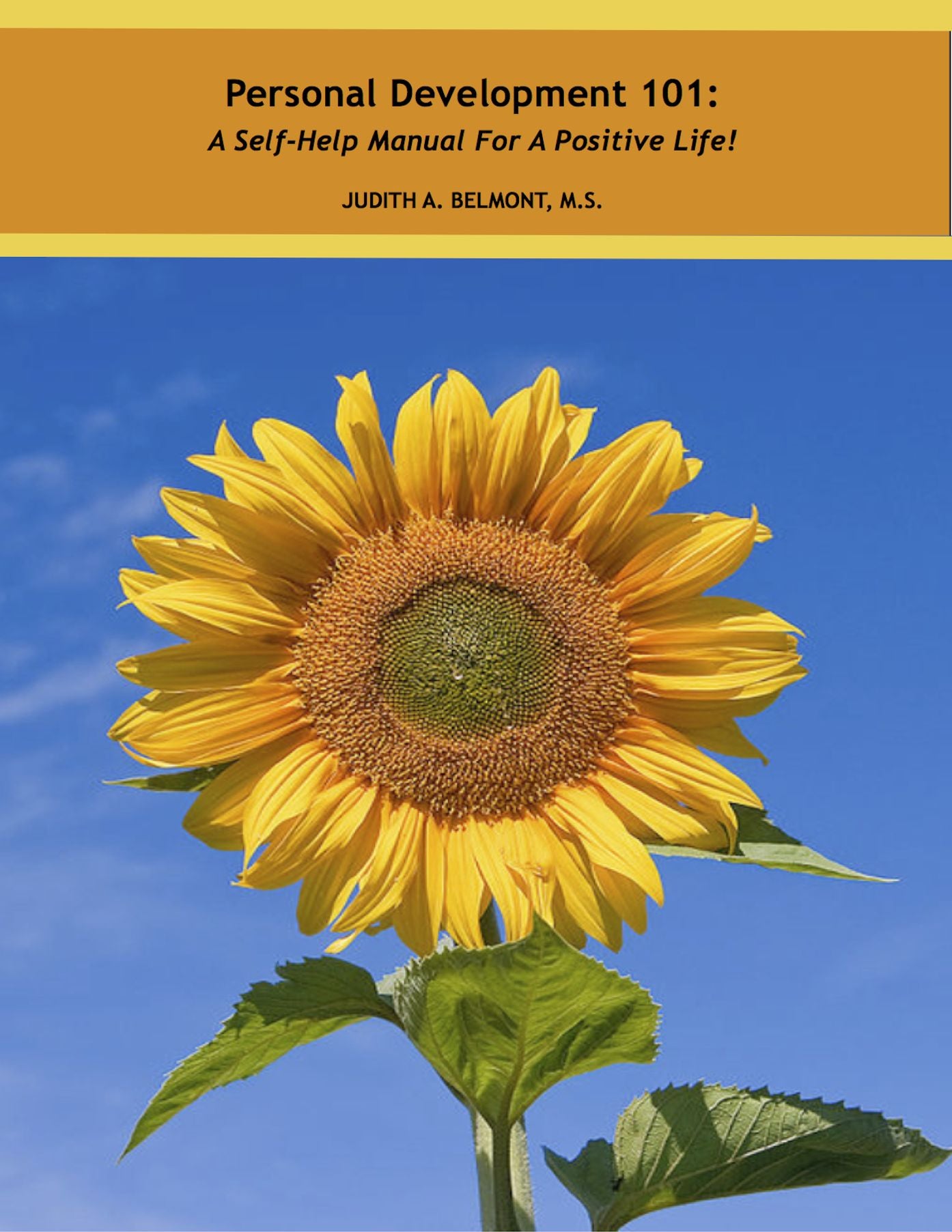 Personal Development 101: A Self-Help Manual for a Positive Life!