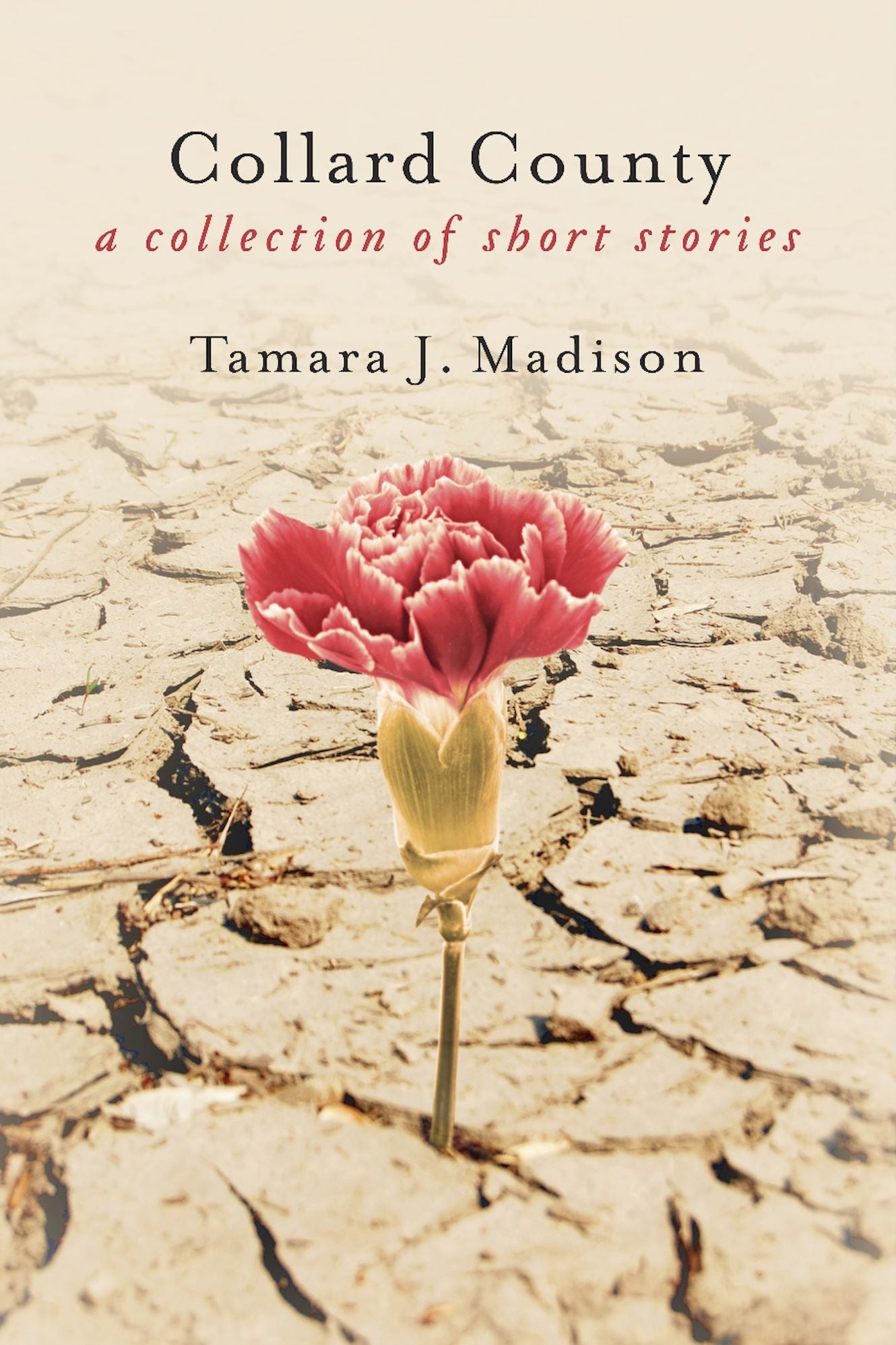 Collard County: A Collection of Short Stories
