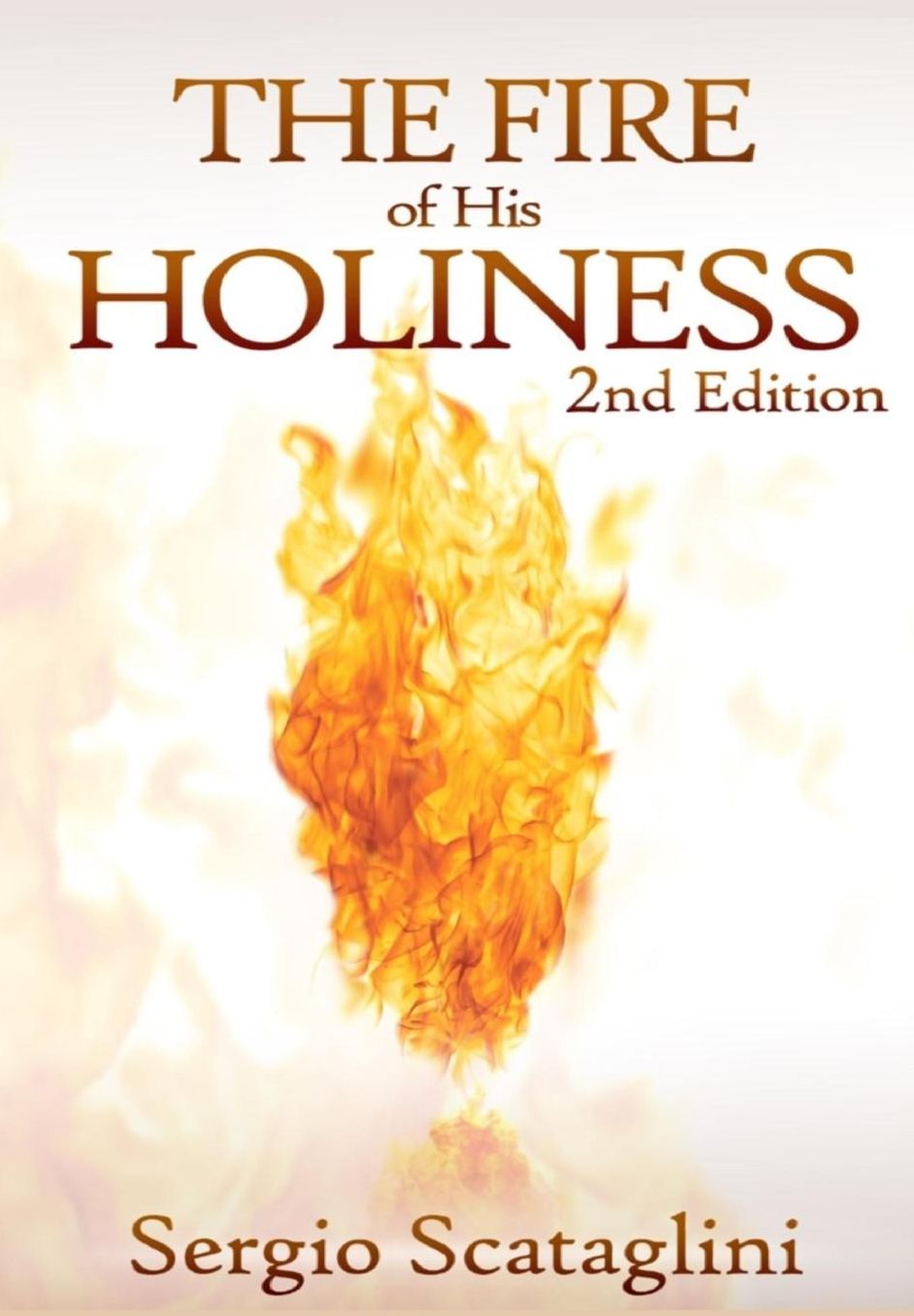 The Fire of His Holiness: Prepare Yourself to Enter God's Presence