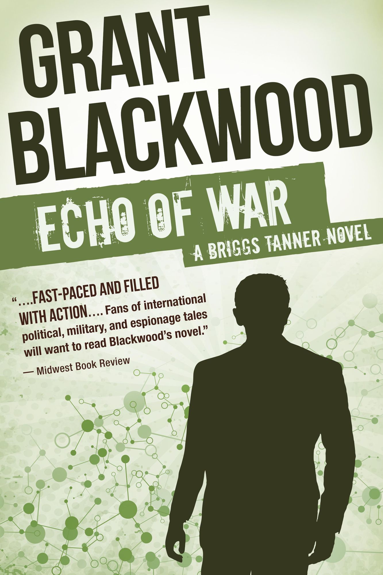Echo of War: A Briggs Tanner Novel
