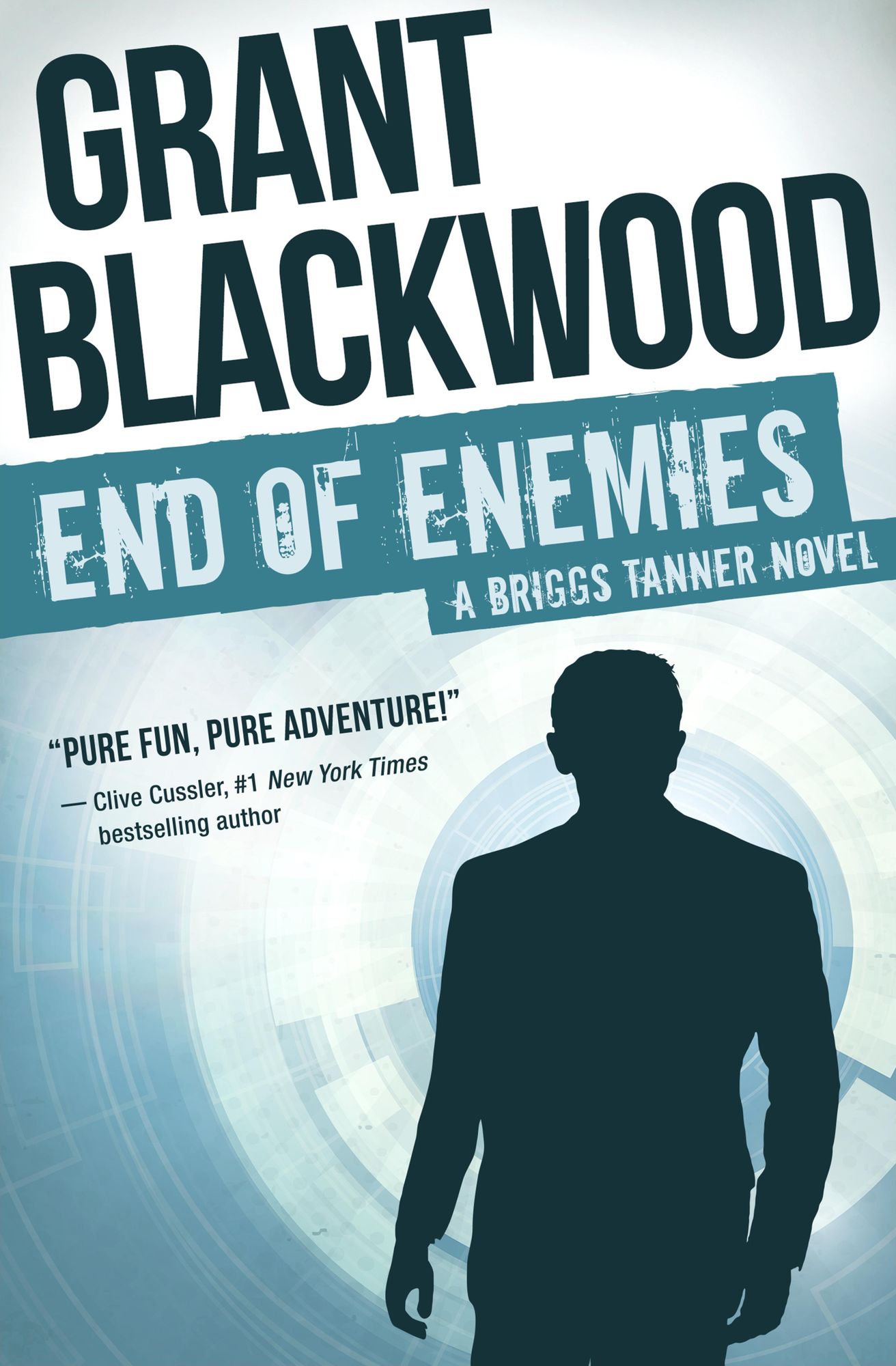 End of Enemies: A Briggs Tanner Novel
