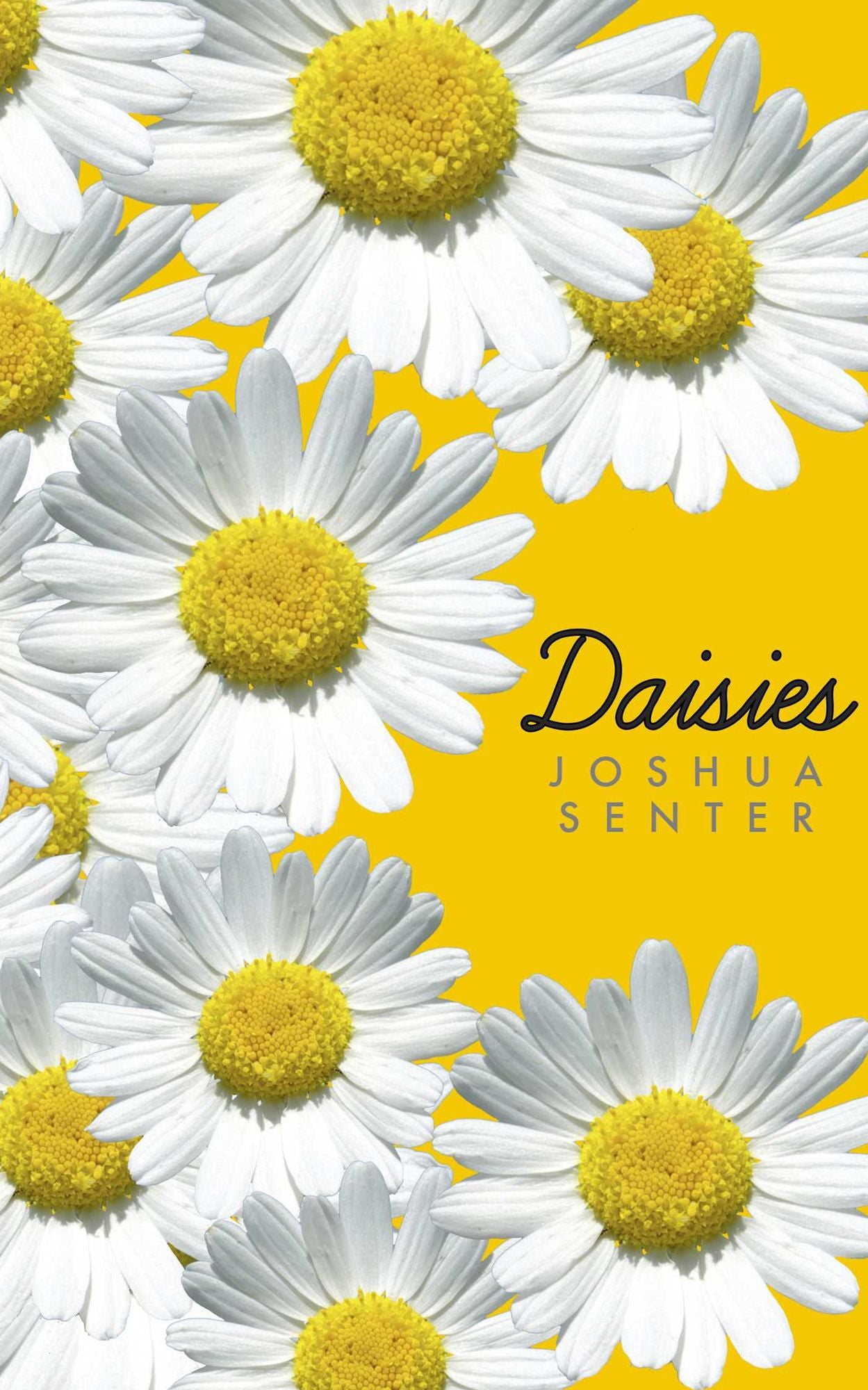 Daisies