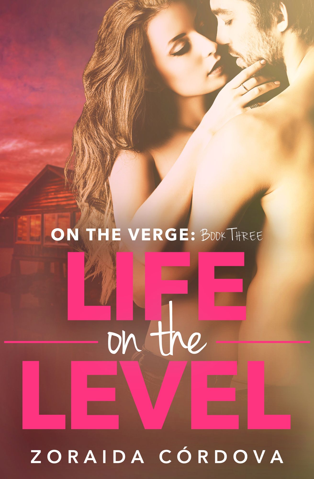 Life on the Level: On the Verge - Book Three