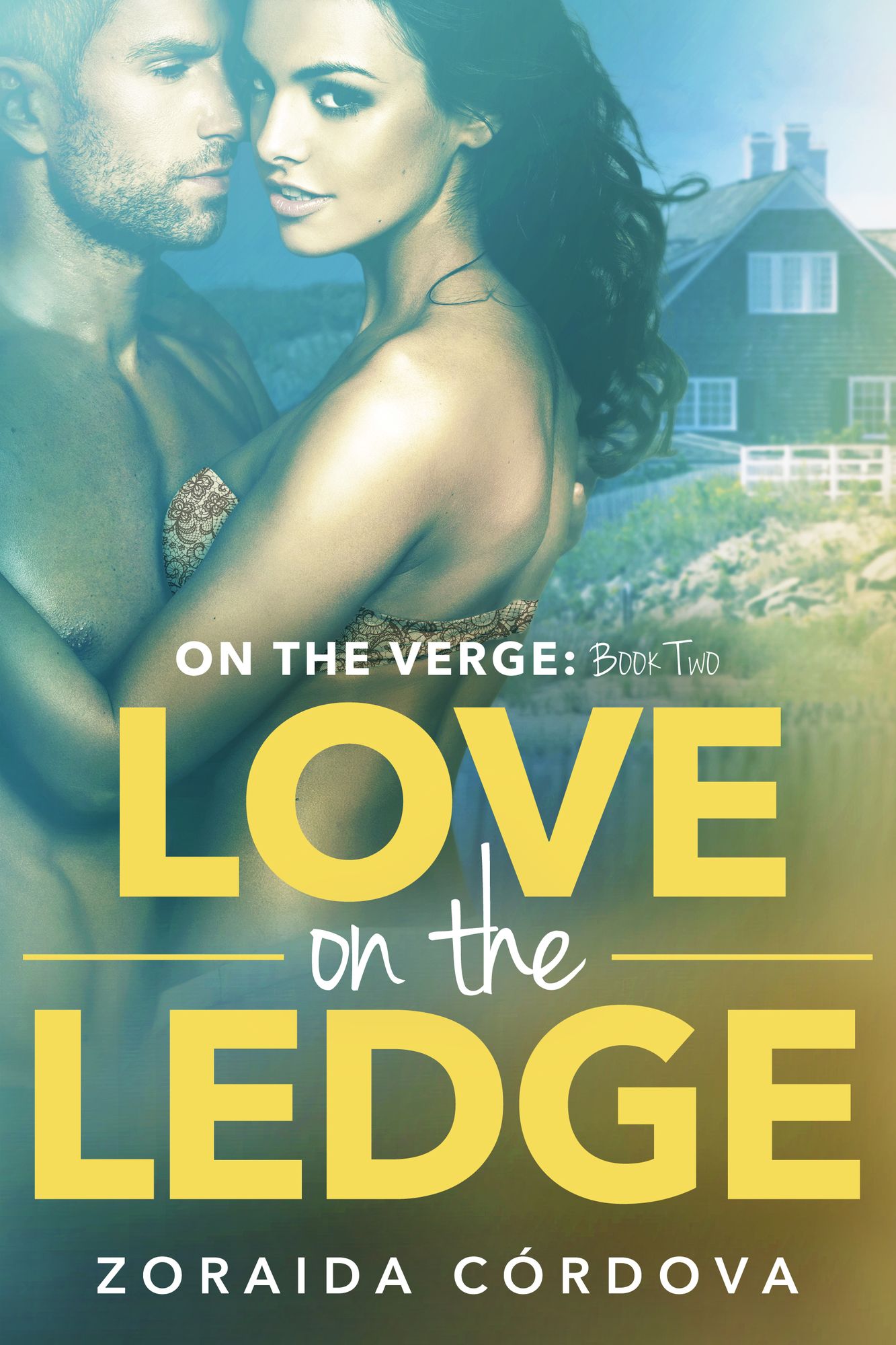 Love on the Ledge: On The Verge - Book Two